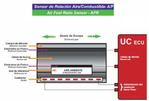 Fig1 P3 2